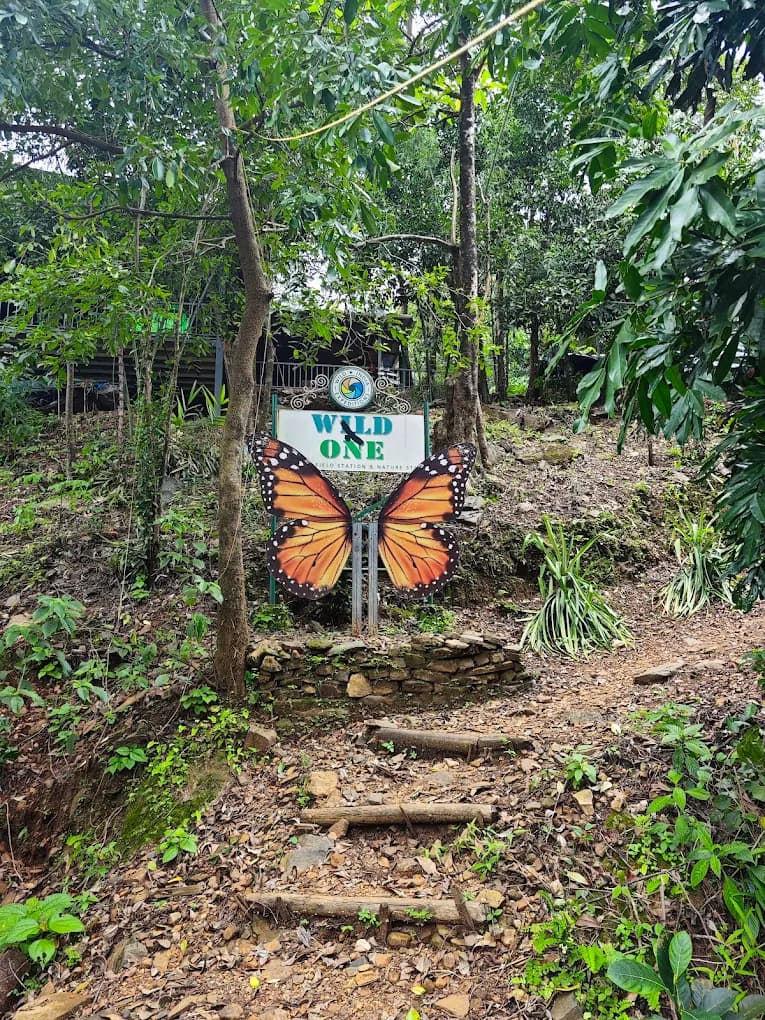Wild One Wildlife Field Station